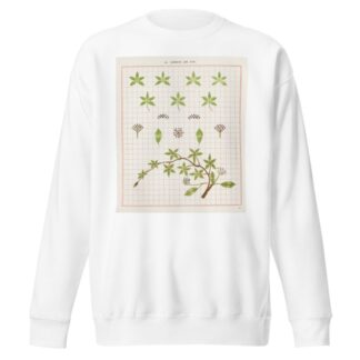 Brushwork Pl.20 by Marion Hudson Sweatshirt