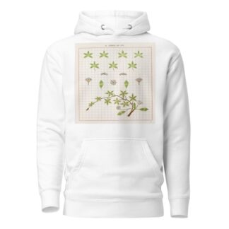 Brushwork Pl.20 by Marion Hudson Hoodie