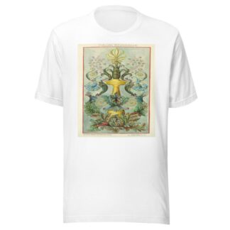 Portfolio, Historic Ornament Pl 45 by Elizabeth A. Nedwill T-Shirt