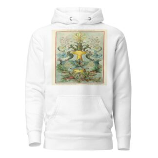Portfolio, Historic Ornament Pl 45 by Elizabeth A. Nedwill Hoodie