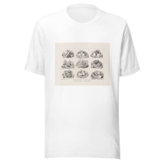 Scholars rewards by Currier & Ives. T-Shirt