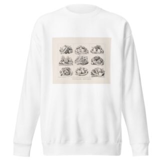 Scholars rewards by Currier & Ives. Sweatshirt