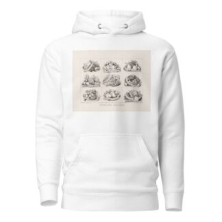 Scholars rewards by Currier & Ives. Hoodie