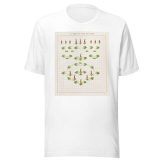 Brushwork Pl.18 by Marion Hudson T-Shirt