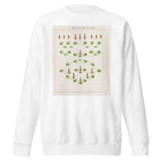 Brushwork Pl.18 by Marion Hudson Sweatshirt
