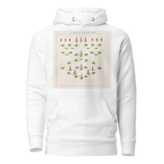 Brushwork Pl.18 by Marion Hudson Hoodie