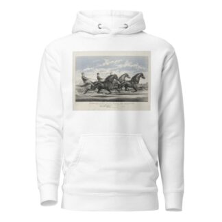 Mambrino Pilot, Daisy Burns, and Rosamond; trotting for a purse, $100 mile heats, best 3 in 5 in harness by John Cameron Hoodie