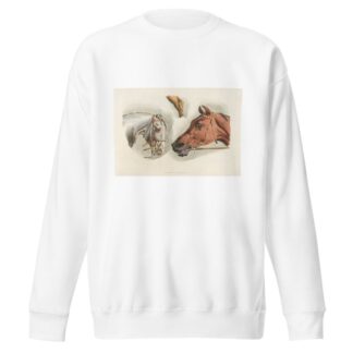 Heads of a white and a brown horses by Henry Thomas Alken Sweatshirt