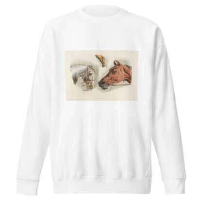 Heads of a white and a brown horses by Henry Thomas Alken Sweatshirt