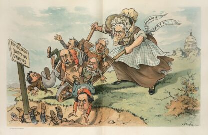 A hint to the Democratic Party by John Samuel Pughe