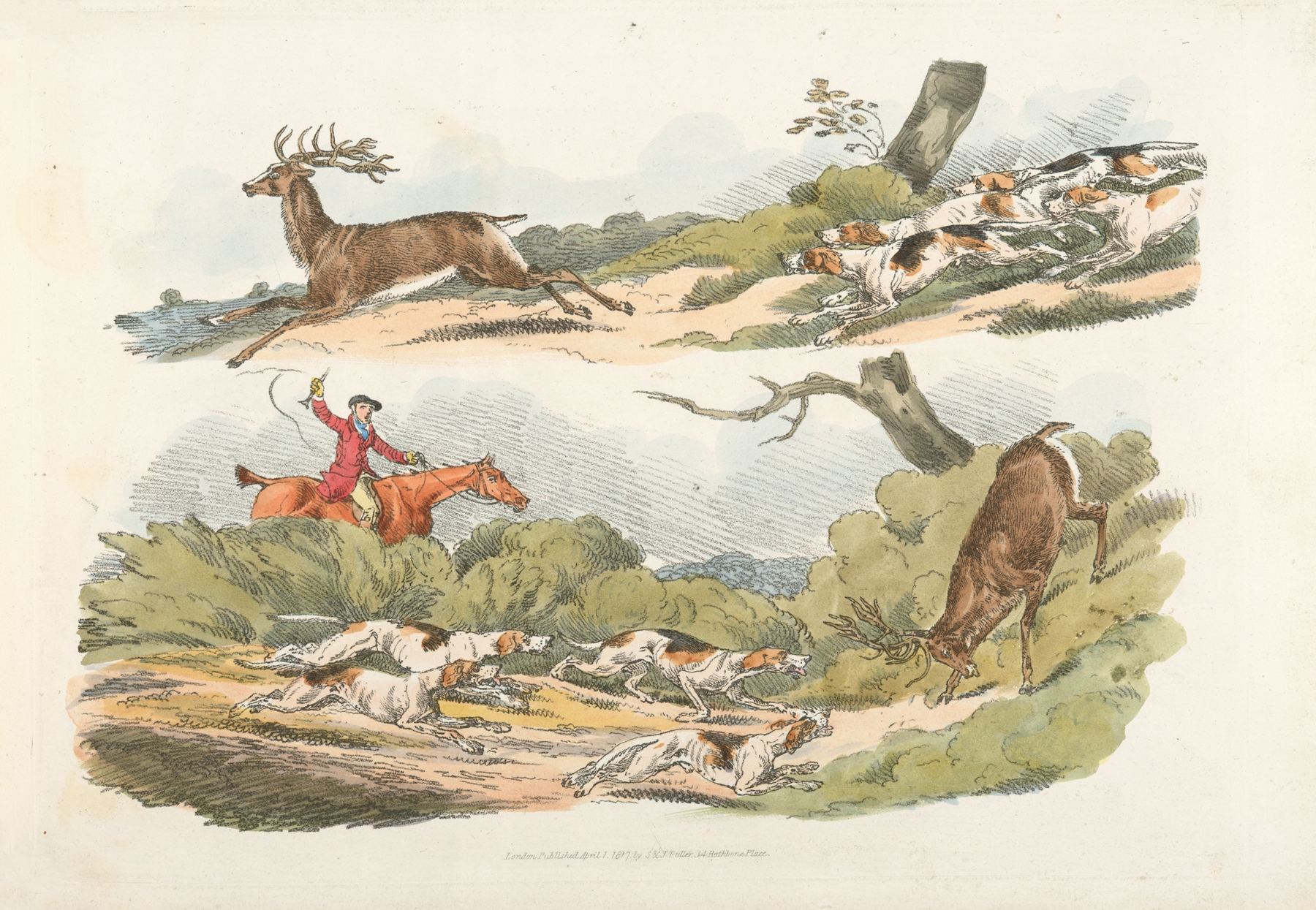 A hunter with dogs chasing a stag by Henry Thomas Alken
