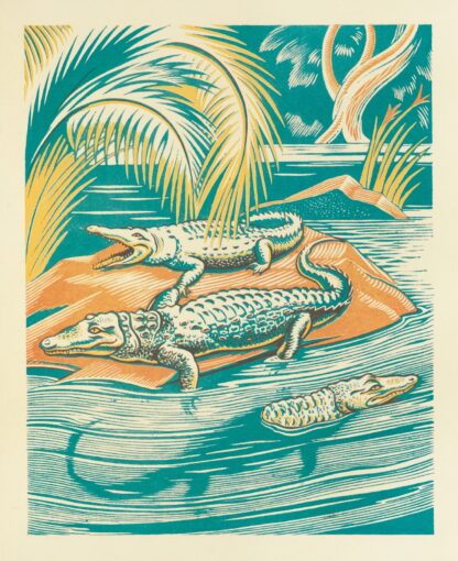 A Jungle Picnic Pl.04 by Clifford Webb