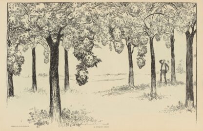 A peach crop by Charles Dana Gibson