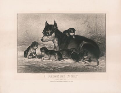 A promising family; black and tan by Currier & Ives.