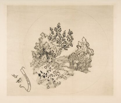 A Stream by Félix Bracquemond