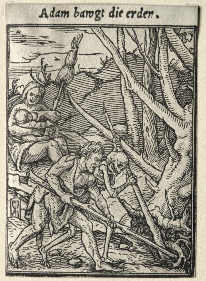 Adam Tilling the Ground by Hans Holbein The Younger