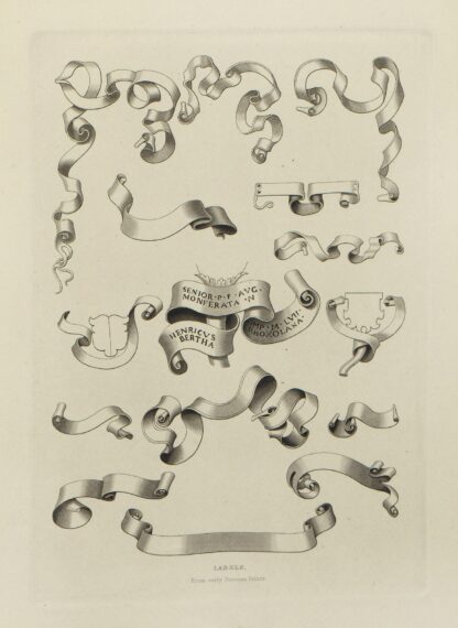 Alphabets: numerals, and devices of the middle ages Pl.46 by Henry Shaw