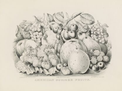 American summer fruits by Currier & Ives.