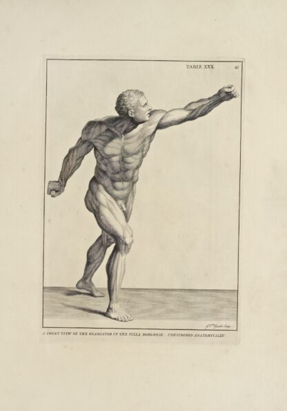 Anatomy improv’d and illustrated with regard to the uses thereof in designing Pl.30 by Michael van der Gucht