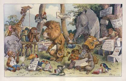 Anti-Roosevelt policies by John Samuel Pughe