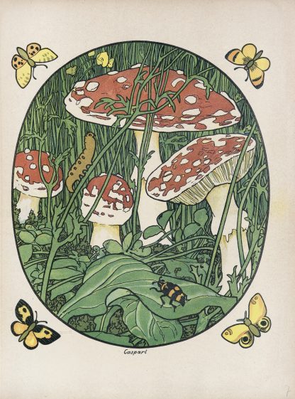 Aus Wald und Heide Pl.07 by Walther Caspari