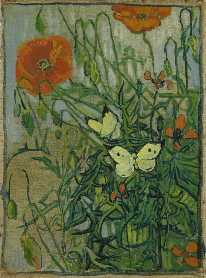 Butterflies and poppies by Vincent van Gogh