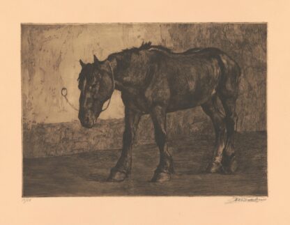 Cheval à l’équarrissage by Constant Eugène de Busschere