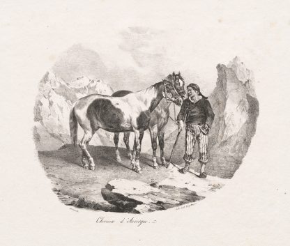 Chevaux d’ Auvergne by Théodore Géricault