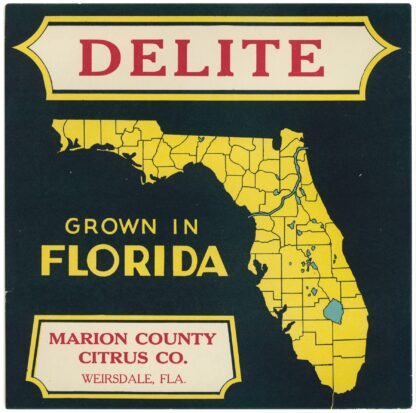 Citrus Label for Delite – Black and Yellow by Anonymous