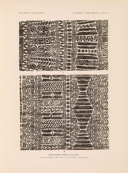 Decorative art of New Guinea Pl.19 by Albert Buell Lewis
