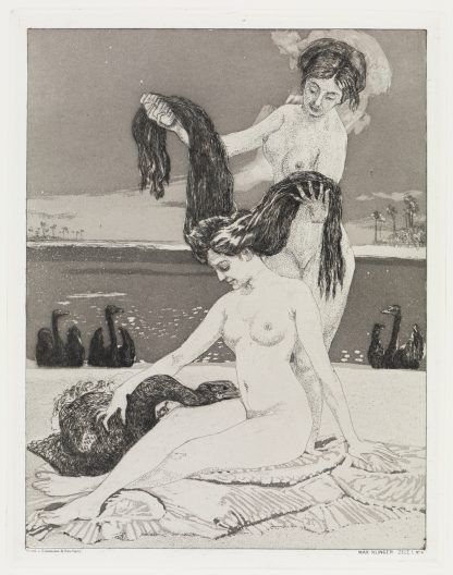 Die Schwäne by Max Klinger