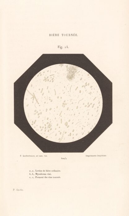 Études Sur Le Vin Pl.09 by Louis Pasteur
