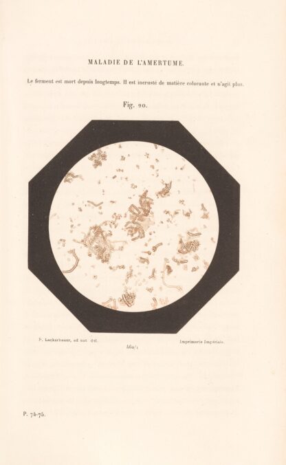 Études Sur Le Vin Pl.15 by Louis Pasteur