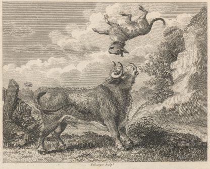 Fable IX. The Bull and the Mastiff by John Wootton