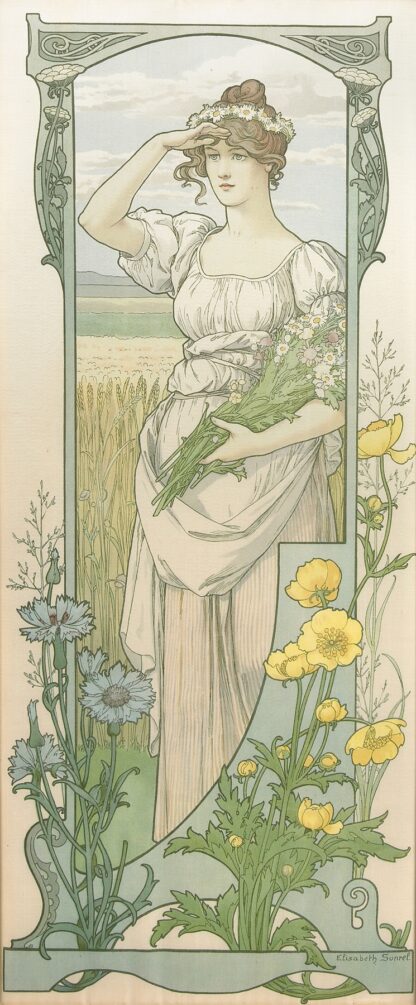 Fleurs des Champs by Elisabeth Sonrel
