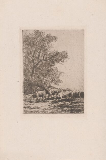 Flock of sheep by Henri-Charles Guérard
