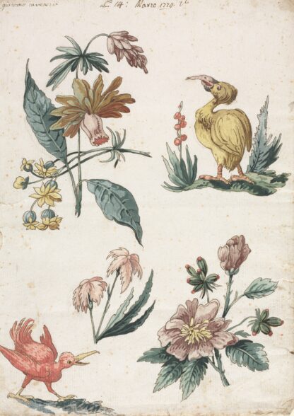 Floral Designs with Two Birds by Giacomo Cavenezia