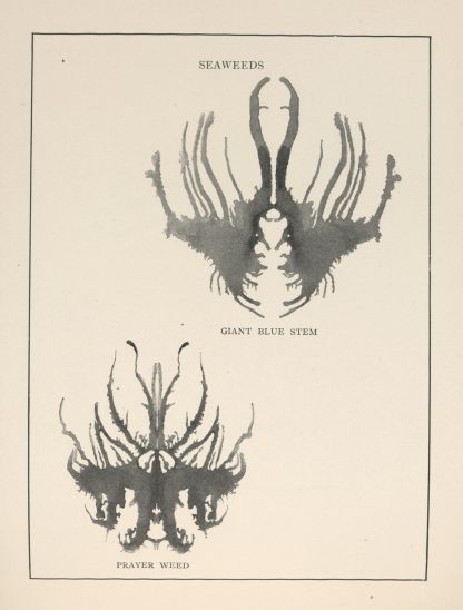 Gobolinks or shadow-pictures for young and old Pl.71 by Ruth McEnery Stuart