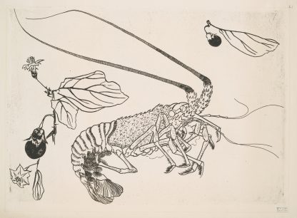 Grand langouste aux antennes relevées by Félix Bracquemond
