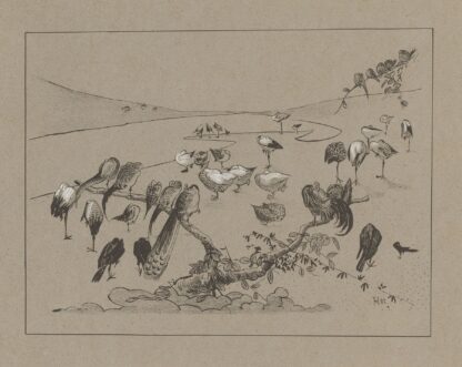 Groep slapende vogels by Theo van Hoytema