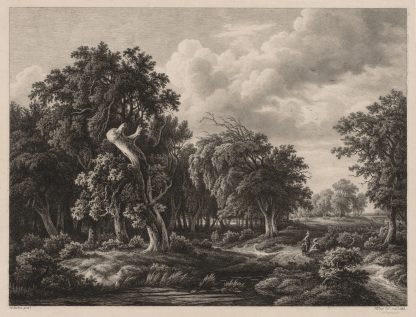 Groups of Various Plants Drawn After Nature; No. 7 by Eugene Blery