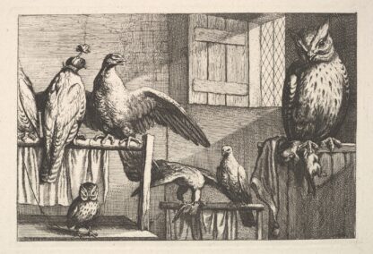 Hawks and owls by Wenceslaus Hollar