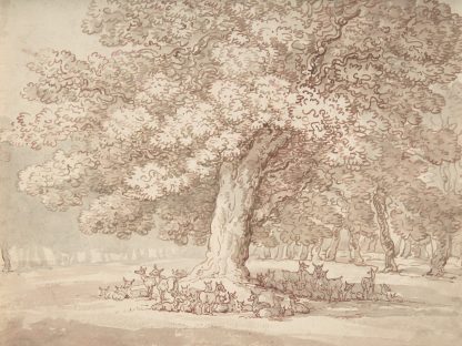 Herd of deer under an oak tree by Thomas Rowlandson