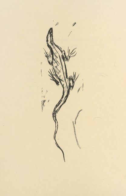 Histoires naturelles Pl 28 by Pierre Bonnard