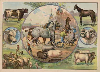 Horses and jockeys at the fair by Calvert Litho. Co