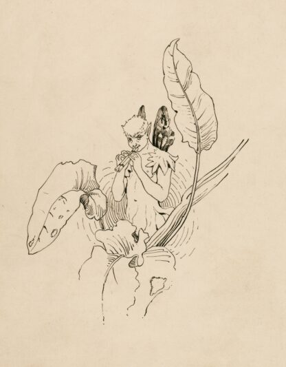 Illustration from A Midsummer night’s dream by Fanny Railton