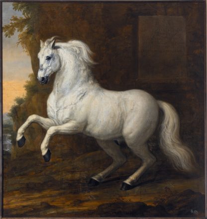 Karl XIs livhäst Kortom by David Klöcker Ehrenstrahl