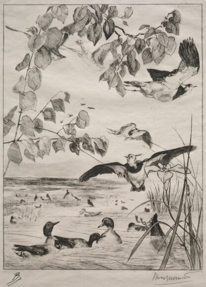 Lapwings and Teals by Félix Bracquemond