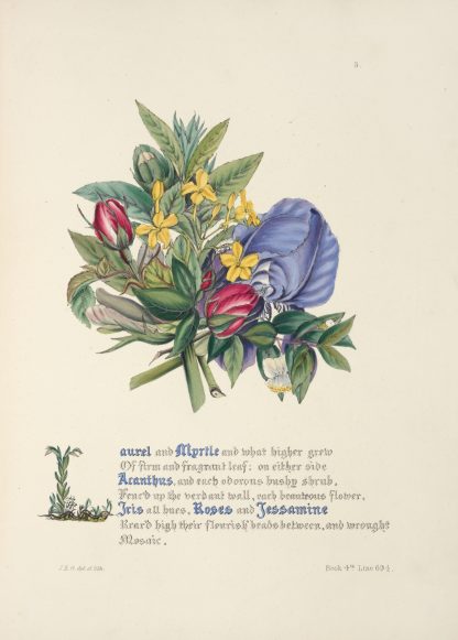 Laurel and myrtle by Jane Elizabeth Giraud