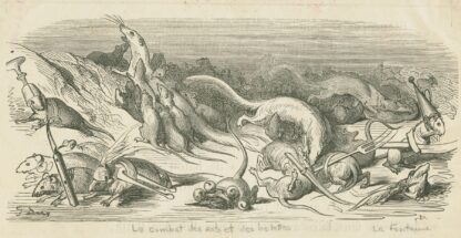 Le combat des rats et des belettes. by Gustave Doré